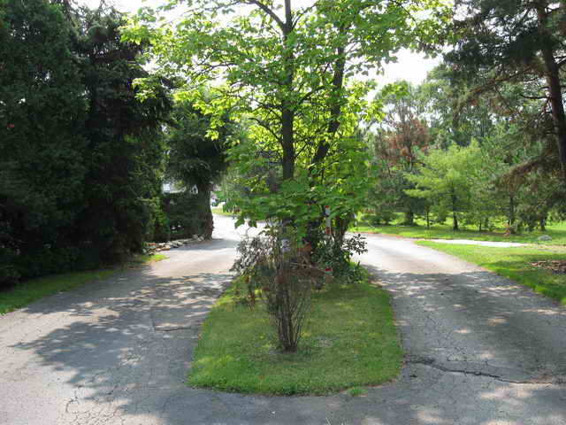 Elm Road Triple Drive-In - 2000S Photos (newer photo)